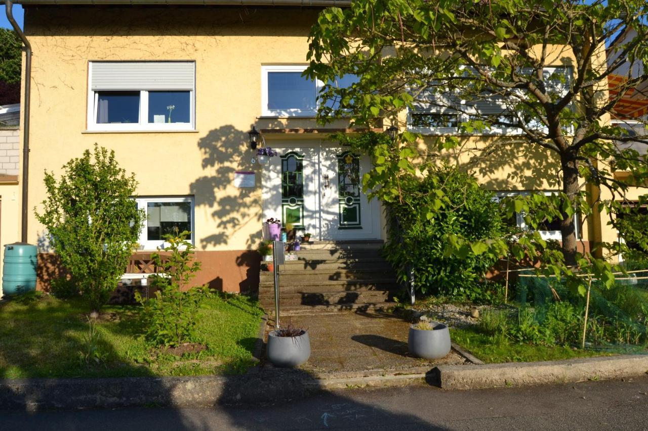 Cozy Apartment Dana Frickenhausen  エクステリア 写真